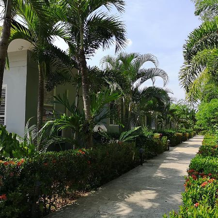 Saiyuan Garden Resort Rawai Exteriör bild