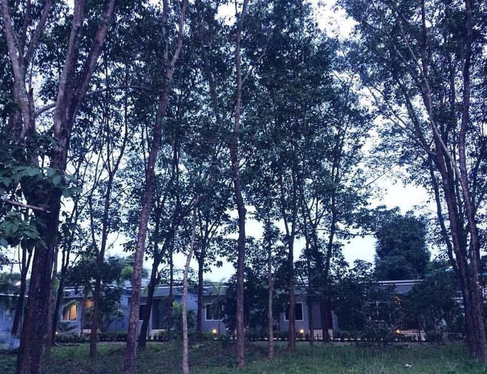 Saiyuan Garden Resort Rawai Exteriör bild